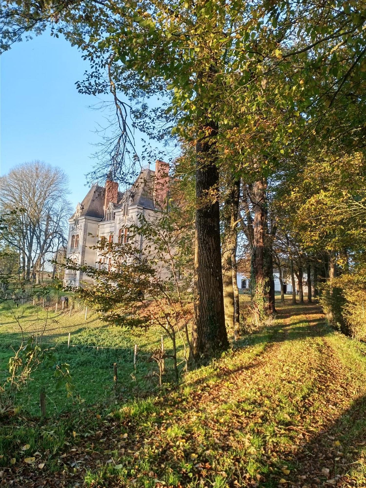 Bed and Breakfast Le Chateau Du Grand Coudray Villaines-la-Juhel Exterior foto